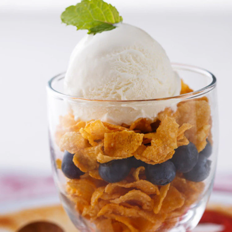 cuisinart dual ice cream maker