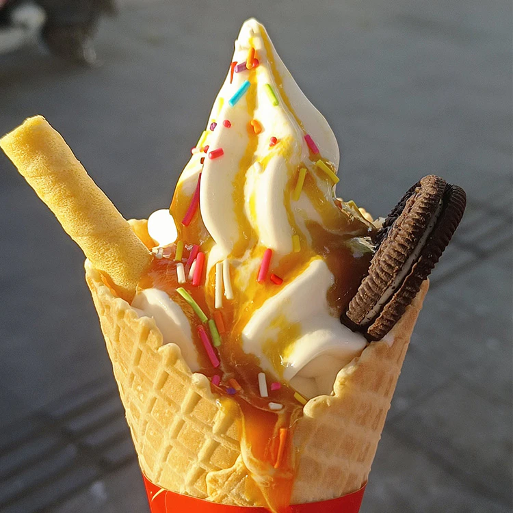ice cream maker in Canada