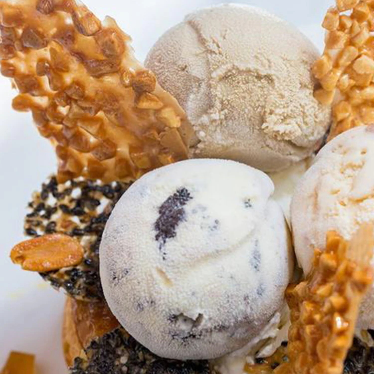 ice cream maker pioneer woman