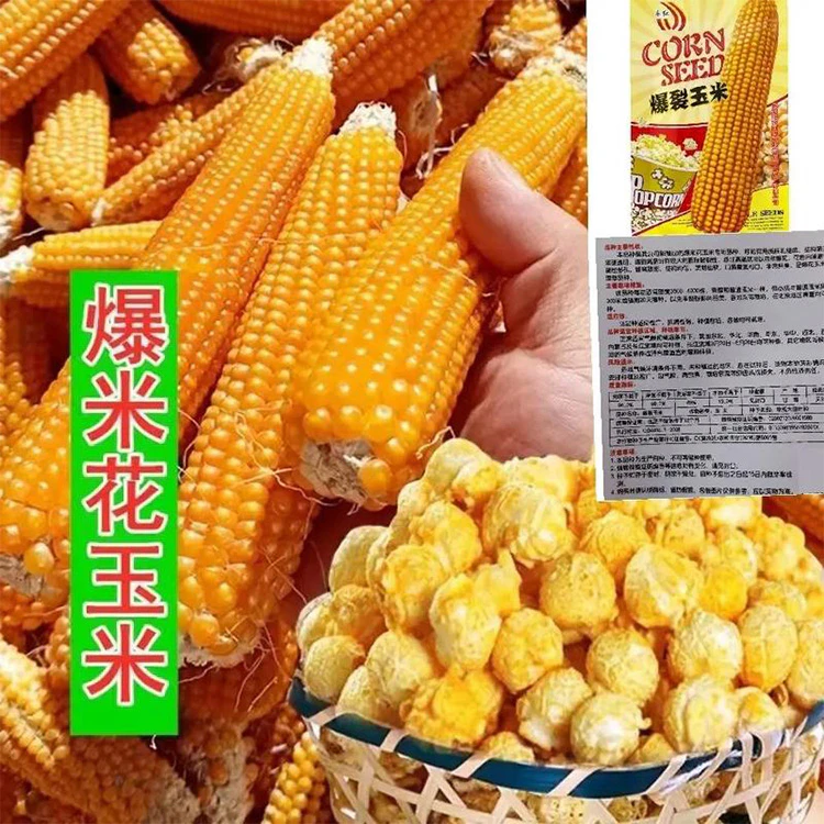 home popcorn maker