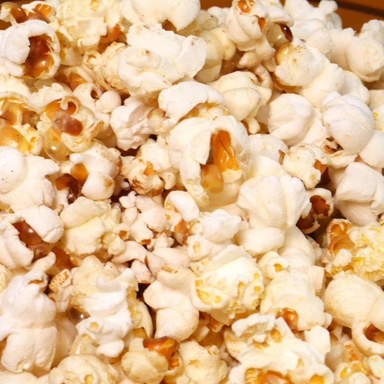 expondo popcorn machine